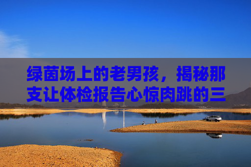 绿茵场上的老男孩,揭秘那支让体检报告心惊肉跳的三高足球队