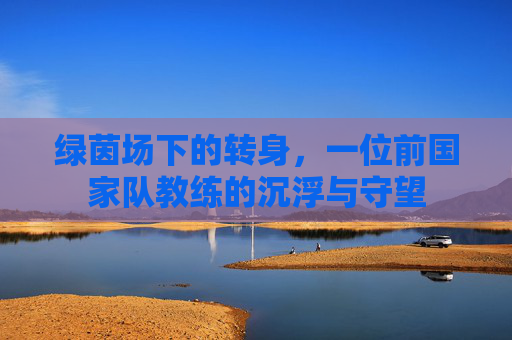 绿茵场下的转身,一位前国家队教练的沉浮与守望