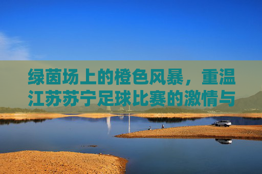 绿茵场上的橙色风暴,重温江苏苏宁足球比赛的激情与荣光