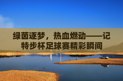绿茵逐梦,热血燃动——记特步杯足球赛精彩瞬间