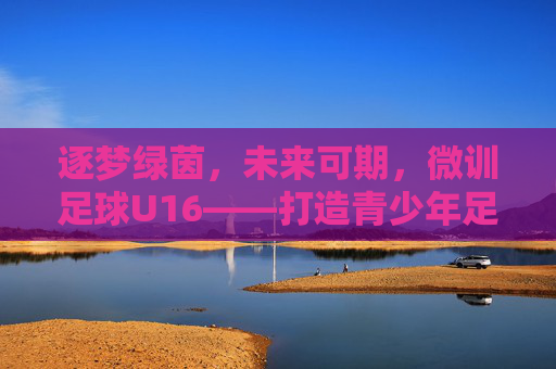 逐梦绿茵,未来可期,微训足球U16——打造青少年足球精英的摇篮