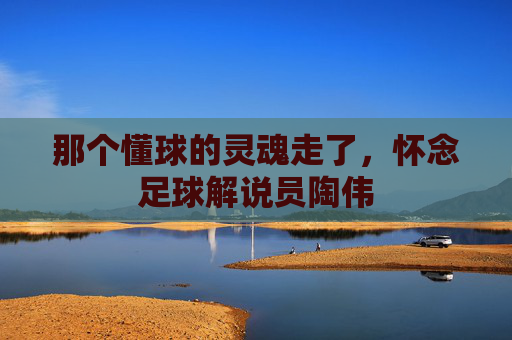 那个懂球的灵魂走了,怀念足球解说员陶伟