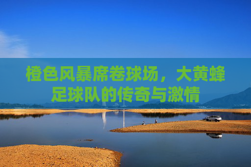 橙色风暴席卷球场，大黄蜂足球队的传奇与激情