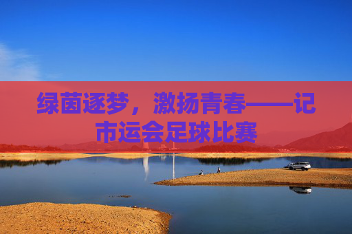 绿茵逐梦，激扬青春——记市运会足球比赛