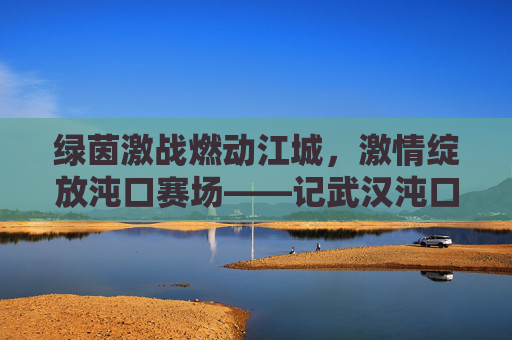 绿茵激战燃动江城，激情绽放沌口赛场——记武汉沌口足球赛