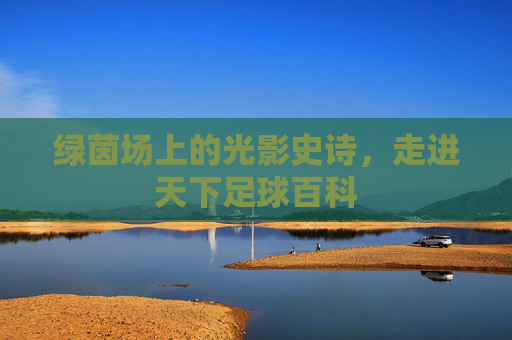 绿茵场上的光影史诗,走进天下足球百科