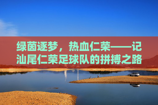 绿茵逐梦,热血仁荣——记汕尾仁荣足球队的拼搏之路