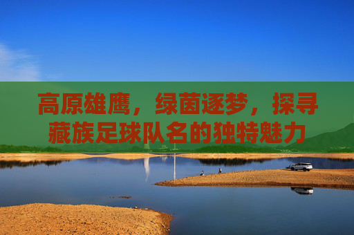 高原雄鹰,绿茵逐梦,探寻藏族足球队名的独特魅力