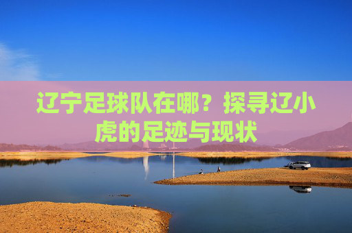 辽宁足球队在哪？探寻辽小虎的足迹与现状