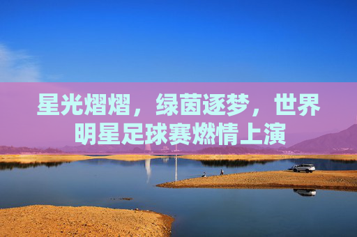 星光熠熠,绿茵逐梦,世界明星足球赛燃情上演