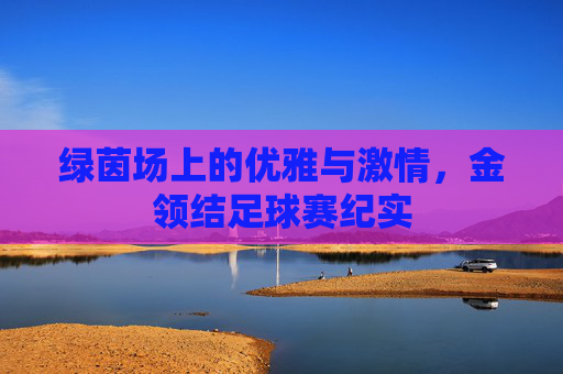 绿茵场上的优雅与激情,金领结足球赛纪实