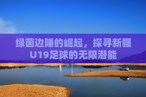 绿茵边陲的崛起,探寻新疆U19足球的无限潜能