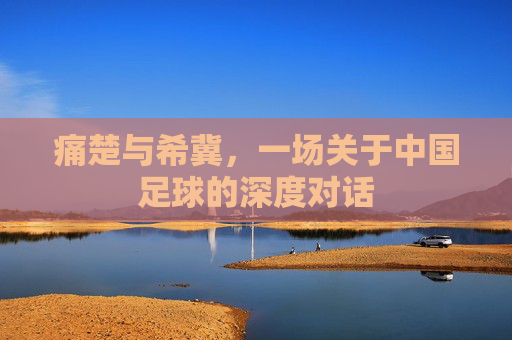 痛楚与希冀,一场关于中国足球的深度对话