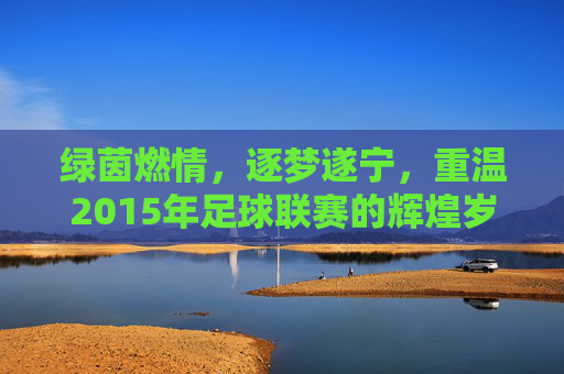 绿茵燃情,逐梦遂宁,重温2015年足球联赛的辉煌岁月