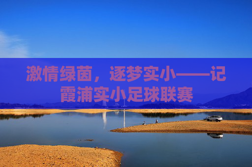 激情绿茵，逐梦实小——记霞浦实小足球联赛