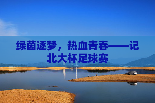 绿茵逐梦，热血青春——记北大杯足球赛