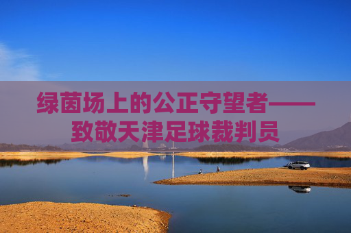 绿茵场上的公正守望者——致敬天津足球裁判员