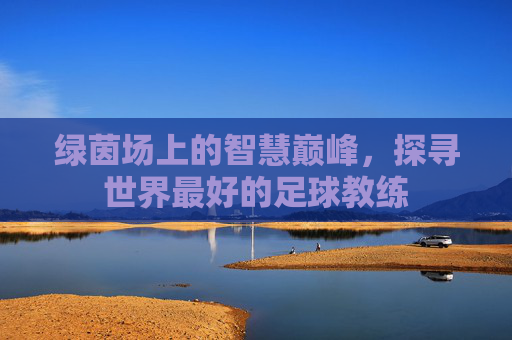 绿茵场上的智慧巅峰，探寻世界最好的足球教练