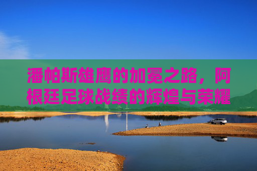 潘帕斯雄鹰的加冕之路,阿根廷足球战绩的辉煌与荣耀