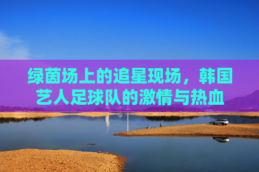 绿茵场上的追星现场，韩国艺人足球队的激情与热血