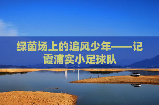 绿茵场上的追风少年——记霞浦实小足球队