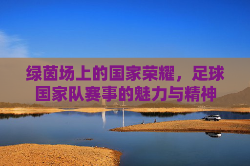 绿茵场上的国家荣耀,足球国家队赛事的魅力与精神