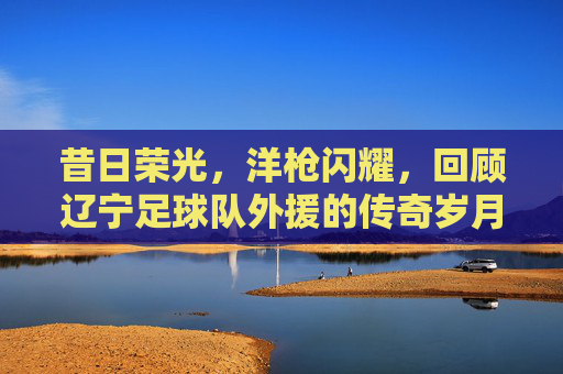 昔日荣光,洋枪闪耀,回顾辽宁足球队外援的传奇岁月