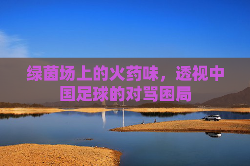 绿茵场上的火药味,透视中国足球的对骂困局