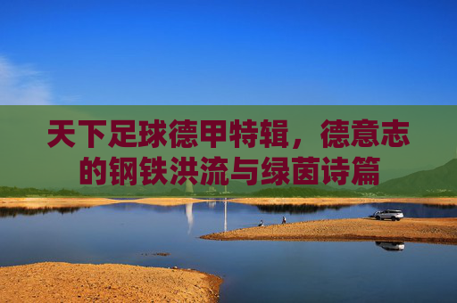 天下足球德甲特辑,德意志的钢铁洪流与绿茵诗篇