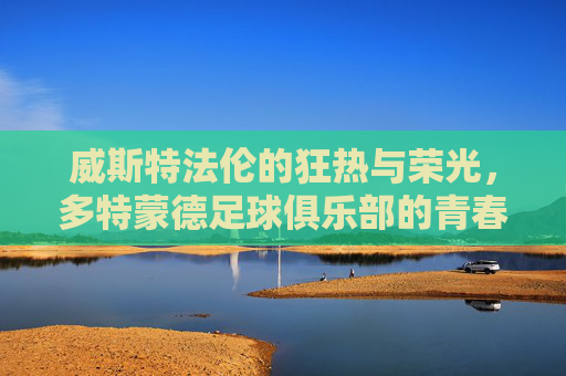 威斯特法伦的狂热与荣光,多特蒙德足球俱乐部的青春风暴