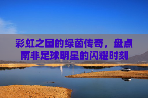彩虹之国的绿茵传奇,盘点南非足球明星的闪耀时刻
