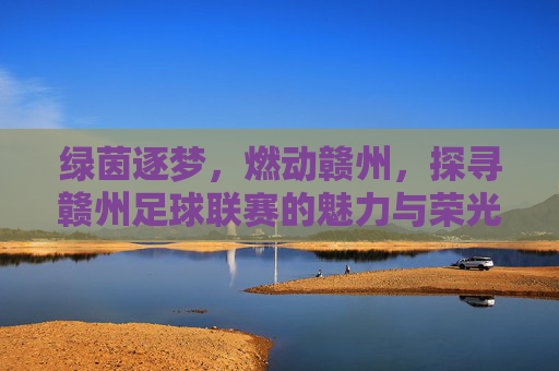 绿茵逐梦，燃动赣州，探寻赣州足球联赛的魅力与荣光