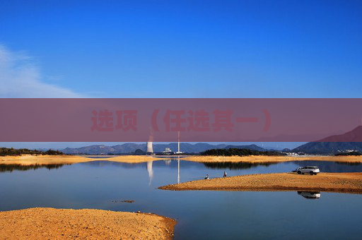选项（任选其一）