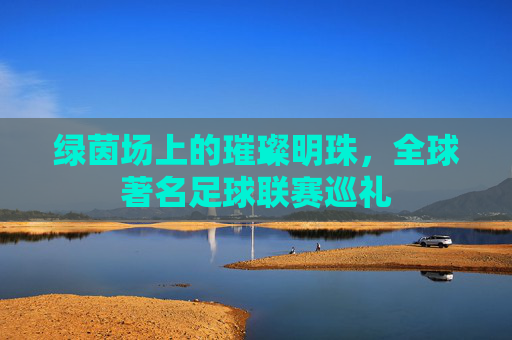 绿茵场上的璀璨明珠,全球著名足球联赛巡礼