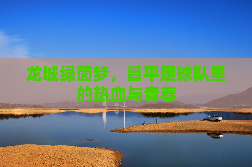 龙城绿茵梦,昌平足球队里的热血与青春