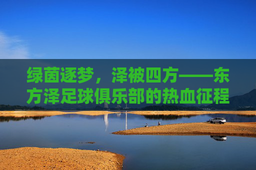 绿茵逐梦,泽被四方——东方泽足球俱乐部的热血征程