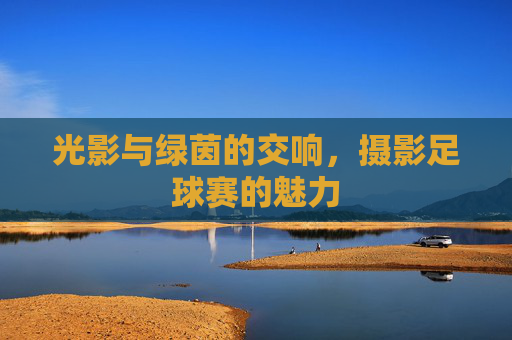 光影与绿茵的交响,摄影足球赛的魅力