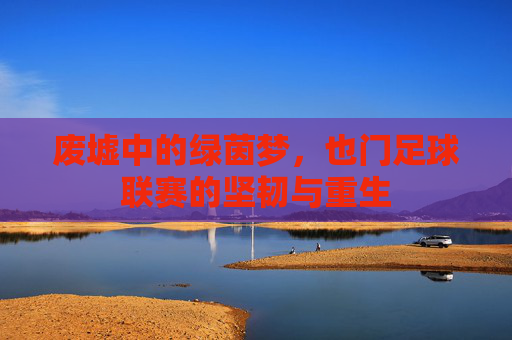 废墟中的绿茵梦,也门足球联赛的坚韧与重生