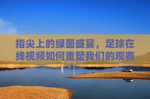 指尖上的绿茵盛宴,足球在线视频如何重塑我们的观赛体验