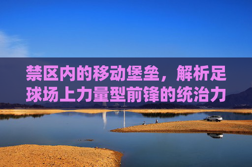 禁区内的移动堡垒，解析足球场上力量型前锋的统治力