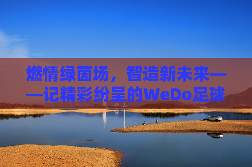 燃情绿茵场，智造新未来——记精彩纷呈的WeDo足球赛