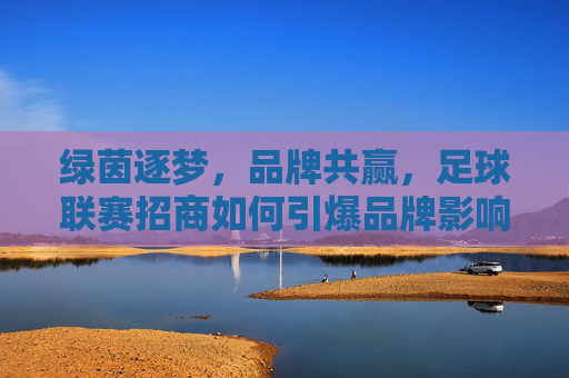 绿茵逐梦，品牌共赢，足球联赛招商如何引爆品牌影响力