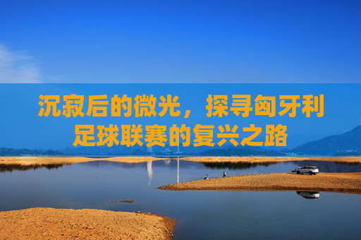 沉寂后的微光，探寻匈牙利足球联赛的复兴之路