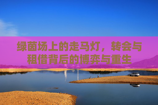 绿茵场上的走马灯,转会与租借背后的博弈与重生