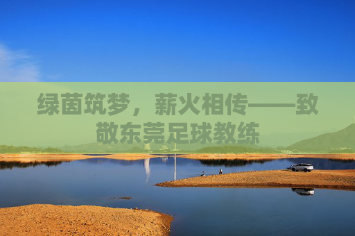 绿茵筑梦,薪火相传——致敬东莞足球教练