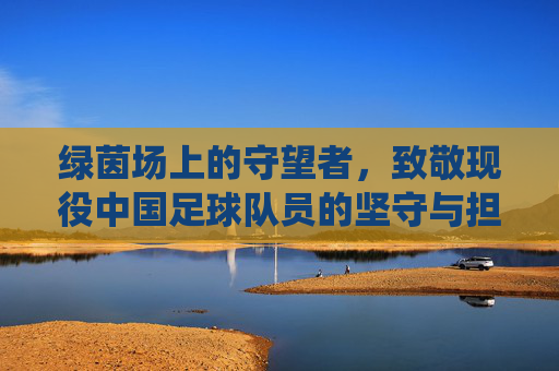 绿茵场上的守望者,致敬现役中国足球队员的坚守与担当