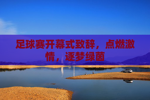 足球赛开幕式致辞,点燃激情,逐梦绿茵