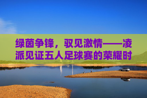 绿茵争锋,驭见激情——凌派见证五人足球赛的荣耀时刻