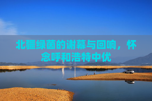 北疆绿茵的谢幕与回响,怀念呼和浩特中优