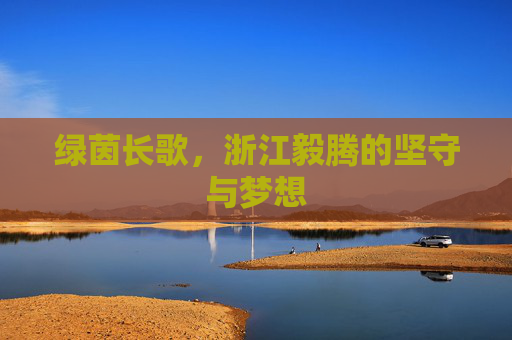 绿茵长歌，浙江毅腾的坚守与梦想